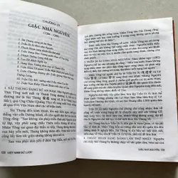 Việt Nam sử lược - Trần Trọng Kim (bìa cứng, 2002s) 623233