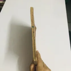 THƠ CHẾ LAN VIÊN  1993 760038