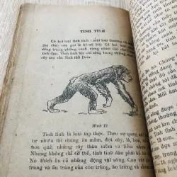 NHỮNG ĐỘNG VẬT HIẾM TRÊN THẾ GIỚI  960099