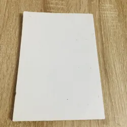 TÌNH PHỤ TỬ 1006309