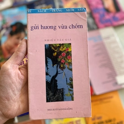 Gửi Hương Vừa Chớm -