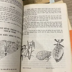 SINH HỌC 12 (XB 2002) 994050