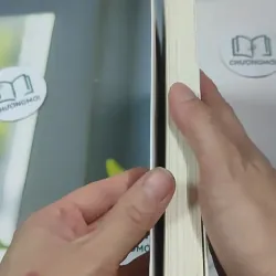 Yêu Mình Trước Đã, Yêu Đời Để Sau - Vex King 727351