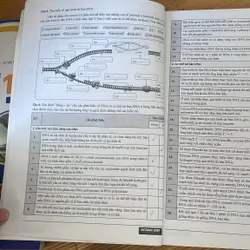 sách sinh học hoàng long 2024 tập 1 708594