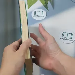 Vượt biển lớn: Cách đi lên của người khởi nghiệp từ 5 xu - Nguyễn Thái Duy 688542