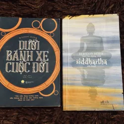 Combo 2c Hermann Hesse