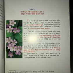 Chủ thuyết Hồ Chí Minh và tầng lớp tinh hoa mới 754928