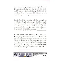 Trong Vòng Sinh Diệt - Ajahn Chah 288212