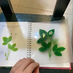 Những khám phá đầu tiên của tớ - Hoa - nhã nam 2018  1027415