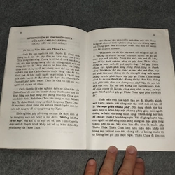 HẠT GIỐNG ÂM THẦM 517737