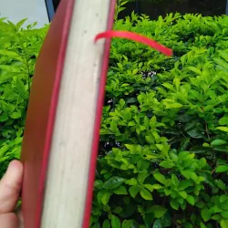 Thơ ca Việt Nam hình thức và thể loại  960859