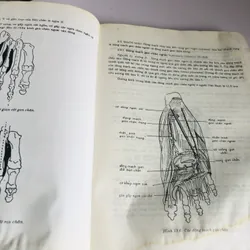 BỘ 2 TẬP GIẢI PHẪU HỌC ( NGUYỄN QUANG QUYỀN) 578170
