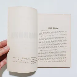 Cây Đàn Miến Điện - Takeyama Michio  795930