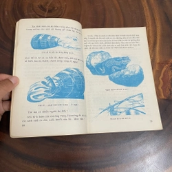 II Tựa sách: Sự Sống _ Nguồn Gốc Và Quá Trình Tiến Hoá - Phan Thanh Quang - 1998 462517