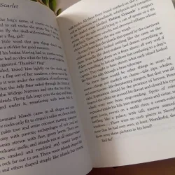 Peter Pan in Scarlet 1024557