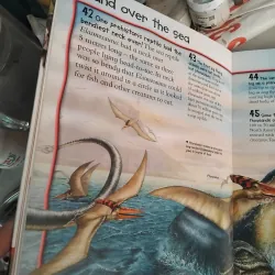 1000 + animal facts 969842