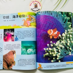 Winnie the Pooh Bách khoa thư đầu tiên cho bé- Tiếng Trung 478979