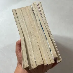 Cảnh sát cơ động Bộ 10 tập 961621