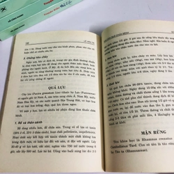 RAU HOA QUẢ CHỮA BỆNH  - 160 trang, nxb: 2003 540892