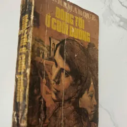 Bóng tối ở cuối đường – Erich Maria Remarque 991684