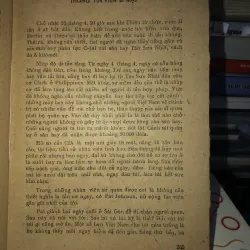 Cuộc tháo chạy tán loạn - Frank Snepp  798922