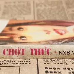 Tiểu thuyết LỬA TIM CHỢT THỨC (Hoài Anh) 707028