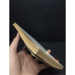 Nghệ thuật nuôi chim hót-chim cảnh Việt Chương 1996 mới 60% ố vàng ẩm HCM0106 kỹ năng 914645