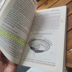 A-Q chỉ số vượt khó	Paul G.Stoltz 519152