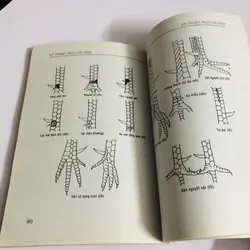 KỸ THUẬT NUÔI GÀ CHỌI - bí quyết chọn và nuôi gà nòi - gà đá 726837