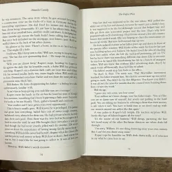 The Perfect Place - Amanda Cassidy 752883