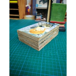 Truyện tranh Black Bird 734011