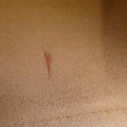 Túi xách vai GG MARMONT 447632 DTD1Y của Gucci - Hàng hiệu Chính hãng 767290