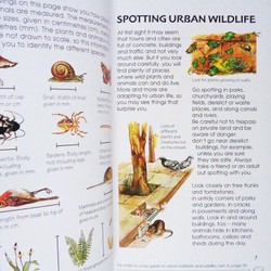 Usborne Spotter's Guides: Urban Wildlife 195143