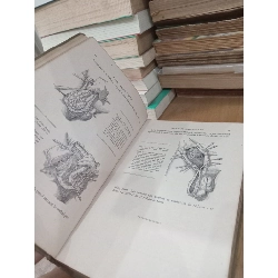 Chirurgie de l'abdomen - Jean Quénu, René Kuss 1025864