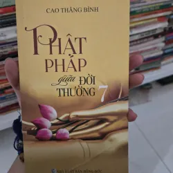 phật pháp giữa đời thường 7 1021544