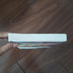 Central park - gullaume musso 734268