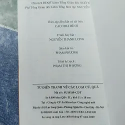 Từ điển tranh về các loại củ, quả 1001158