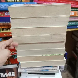 Trọn Bộ 8 Tập Hậu Cung Chân Hoàn Truyện- Lưu Liễm Tử 576024