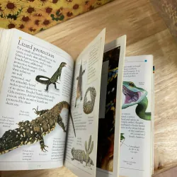 Pockets: Reptiles 1022230