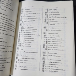 DICTIONARIUM ANAMITICO LATINUM | J.L.Taberd 500141