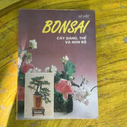  COMBO BONSAI CÂY DÁNG, THẾ VÀ NON BỘ & BONSAI CÂY KIỂNG CỔ 752666