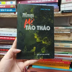 Bí Mật Mộ Tào Tháo- Hồng Lĩnh Sơn