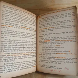 Loại Hình Các Ngôn Ngữ & Nghiên Cứu Về Chữ Nôm 736945