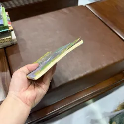 Chó Dẫn Đường, Đại Gia & Nhân Quả – Mikhail Samarsky- K4 1018717