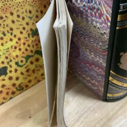 Đổi Mới Nghệ Thuật Tiểu Thuyết Phương Tây Hiện Đại - Đặng Anh Đào 760497