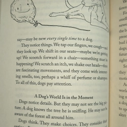 Inside of a dog - Alexandra Horowitz  473018