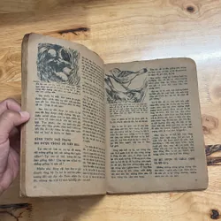 II Sách Xưa: Biển Gọi - Trung Tâm Nghiên Cứu Và Dịch Thuật - 1984 687798