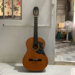 Đàn guitar classic đã qua sử dụng