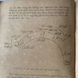 Vấn đề hồi phục chức năng cho người điếc, Phạm Kim 709412