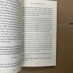 Người Nam Châm 568977